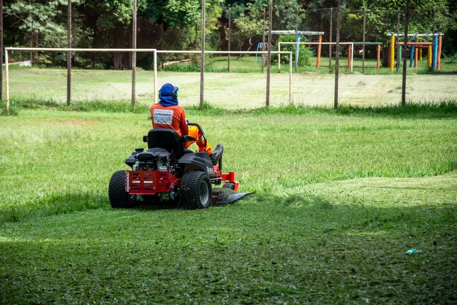 Pelouse fraichement tondue dans un jardin de particulier