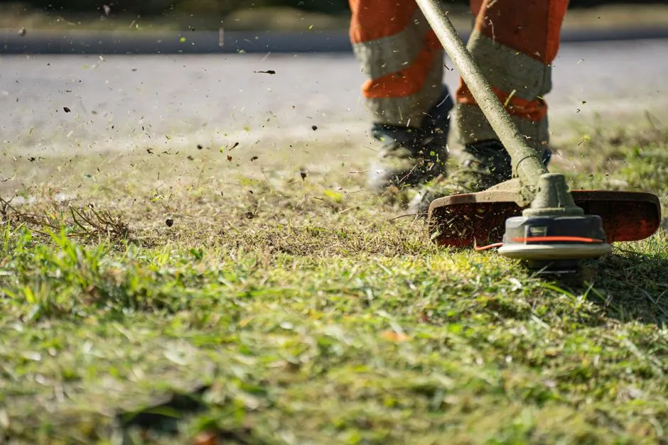Jardin entretenu en bord de maison